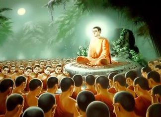 vi-sao-toi-chon-giao-phap-dai-thua