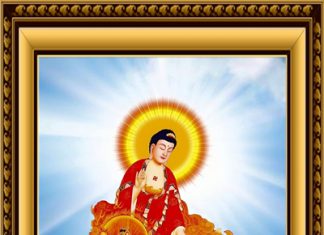 cac-ngay-via