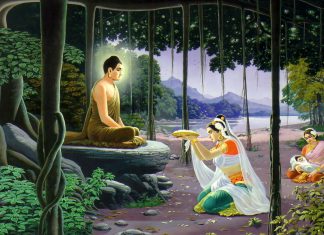 chon-cung-duong-tam-bao