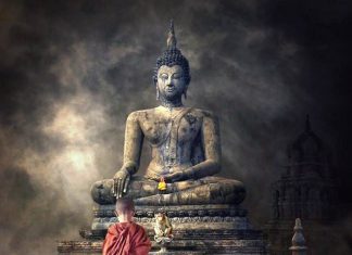 xuat-gia-va-tai-gia