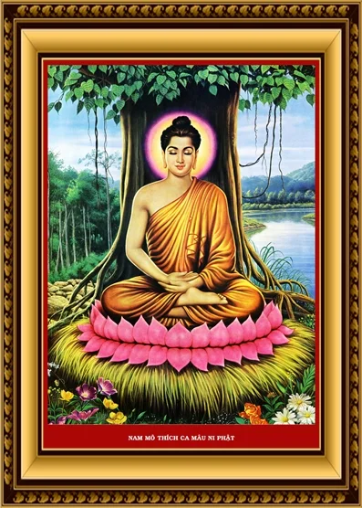 sam-thich-ca sam-thich-ca
