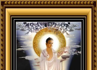 sam-dai-nguyen-duoc-su