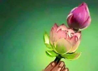 phuong-tien-vai-nguyen