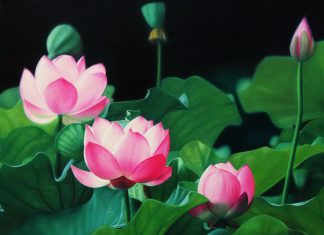 tin-hanh-nguyen