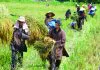 Chơn xuất gia (HT. Thích Từ Quang) chon-xuat-gia-ht-thich-tu-quang