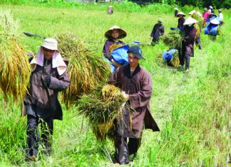 chon-xuat-gia-ht-thich-tu-quang