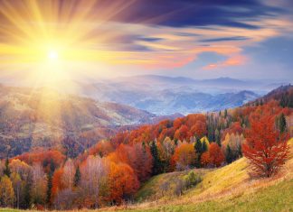 tam-thu-cuoi-nam-2016