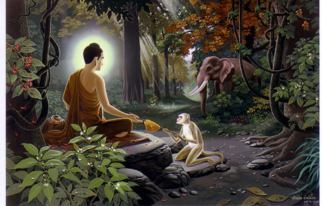 cach-thuc-cung-duong-thuong-nhat