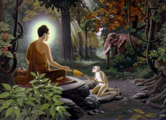 cach-thuc-cung-duong-thuong-nhat