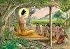 thanh-quy-canh-sach