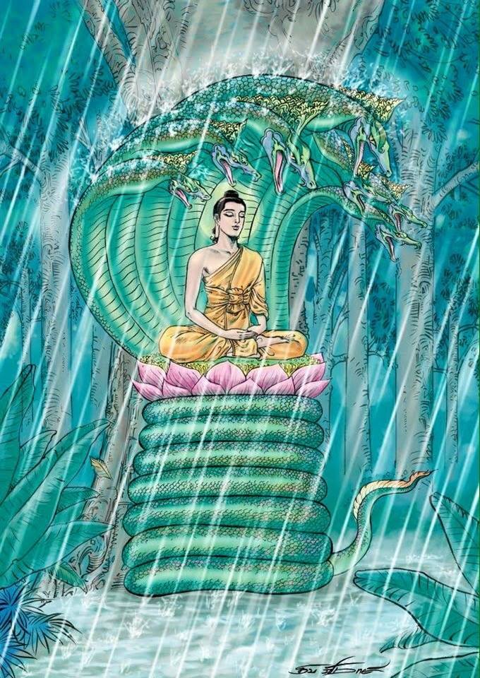 Cuoc-doi-Duc-Phat-Myamar-29 Cuoc-doi-Duc-Phat-Myamar-29