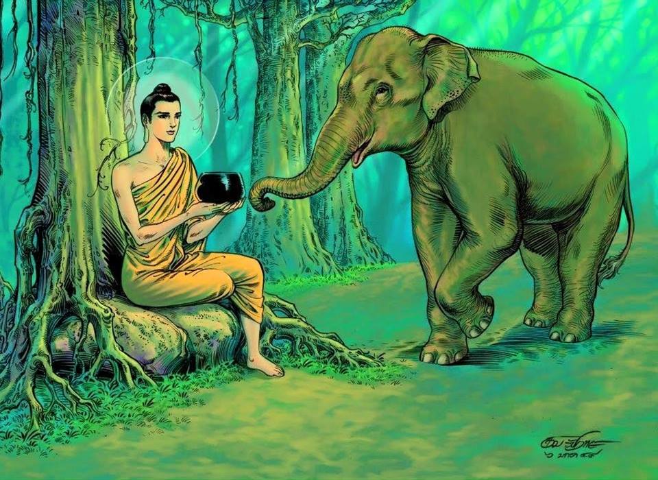 Cuoc-doi-Duc-Phat-Myamar-55 Cuoc-doi-Duc-Phat-Myamar-55