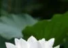 tai-san-cua-nguoi-tu