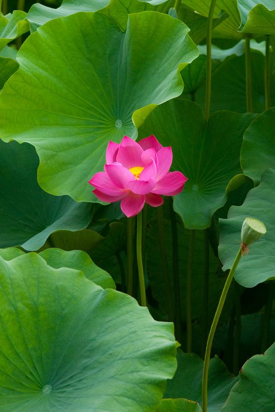 hai-hang-nguoi-dang-duoc-cung-duong