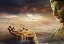 cam-ngo-ve-vo-thuong