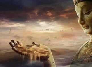 cam-ngo-ve-vo-thuong