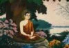 Chánh mạng (Nikàya) chanh-mang