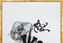 kinh-phap-cu-pham-voi-rung