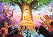Phật Pháp vấn đáp 36: Bị khảo phá khi tọa thiền